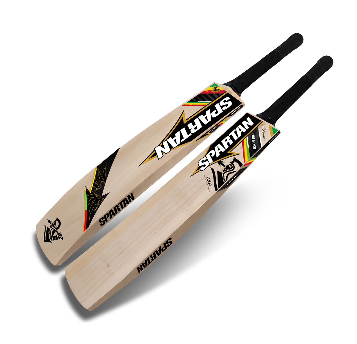 Budget Kashmir willow bat for academy and club cricket