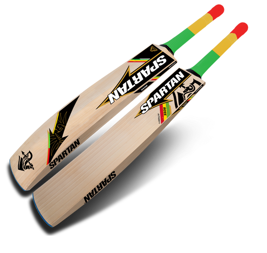 English willow cricket bat designed for tournament matches