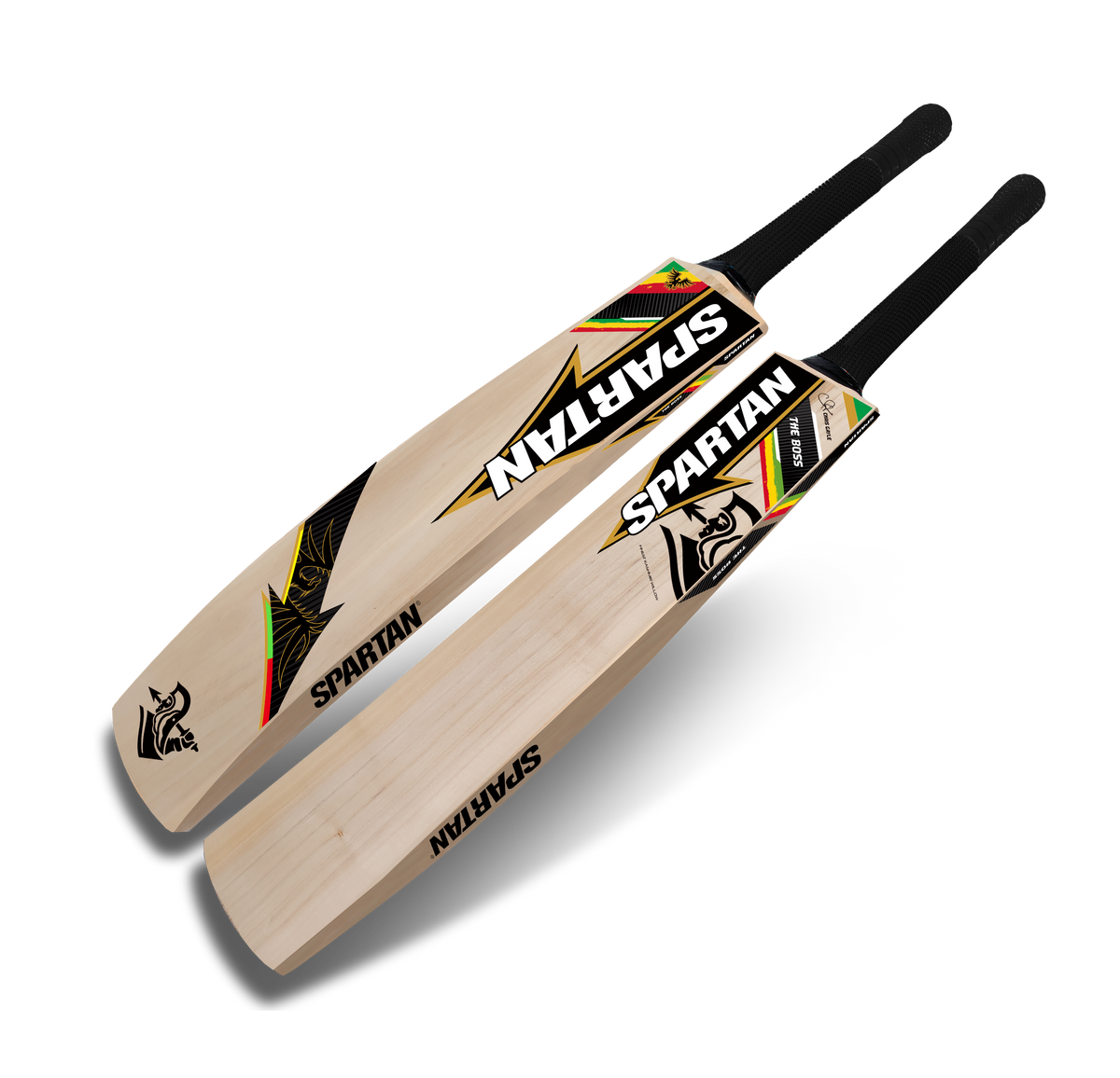 Kashmir willow cricket bat for leather ball and training