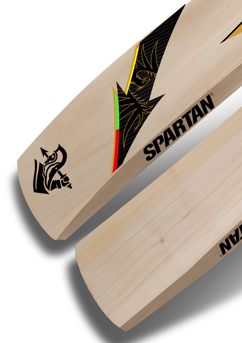 CG ECO 170 - Kashmir Willow Cricket Bat Spartan Sports
