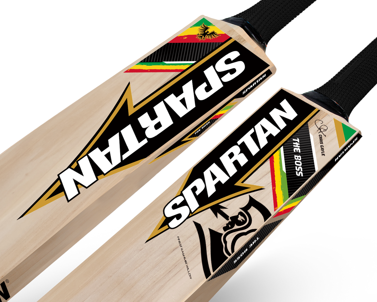 CG ECO 170 - Kashmir Willow Cricket Bat Spartan Sports