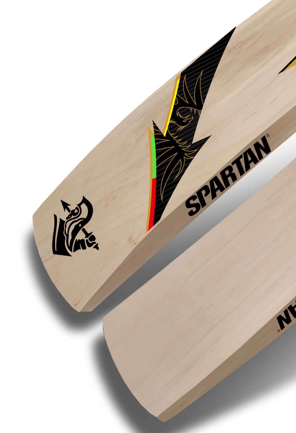 CG Hammer 166 – Kashmir Willow Cricket Bat Spartan Sports
