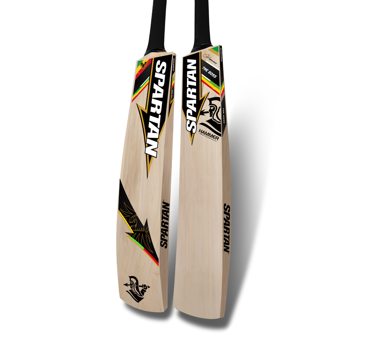 CG Hammer 166 – Kashmir Willow Cricket Bat Spartan Sports