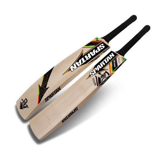 Professional Kashmir willow cricket bat for field practice