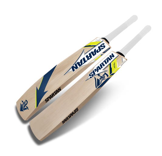 Heavy Kashmir willow bat for power hitting practice