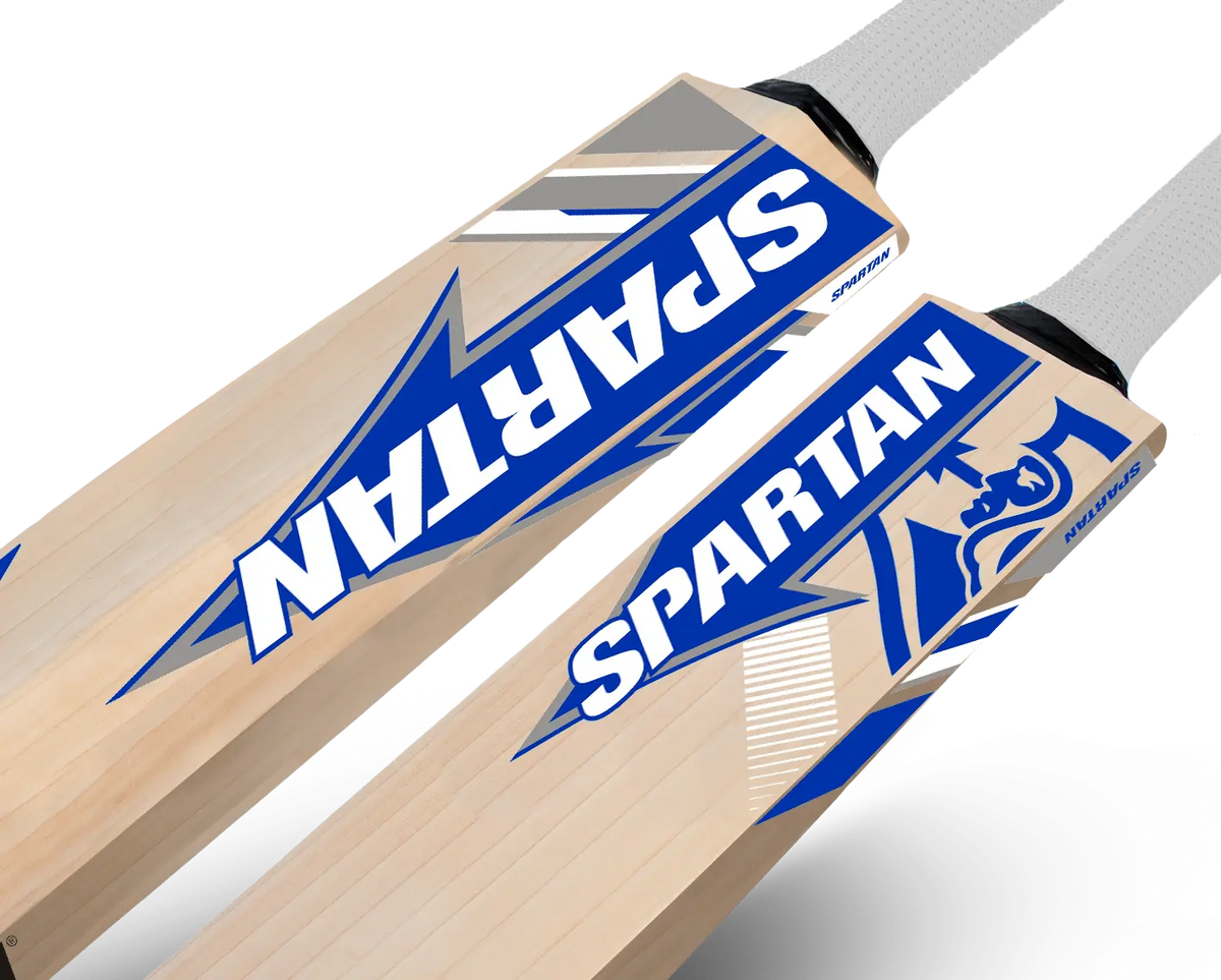 Limited Edition Englsih Willow Bat Spartan