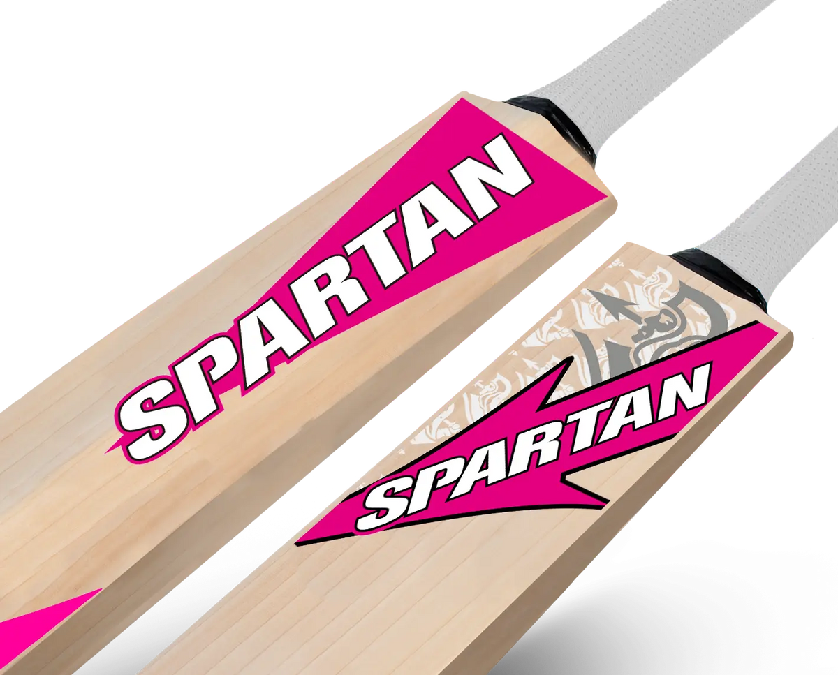 T20 Edition 1000 English Willow Bat Spartan Sports