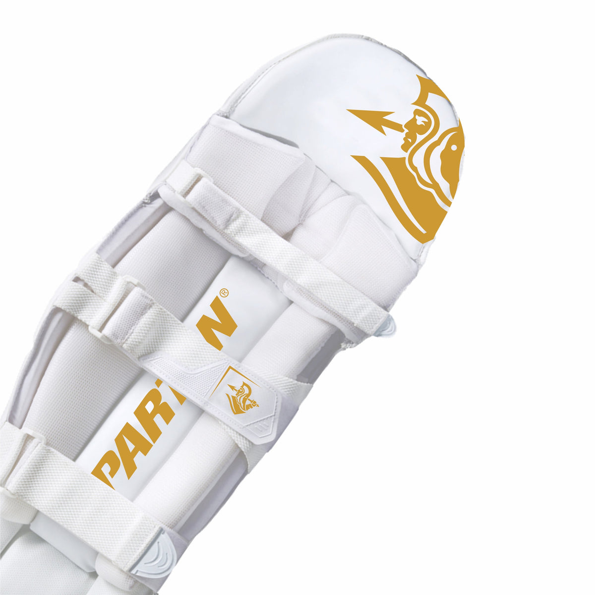 LIMITED EDITION Spartan Sports