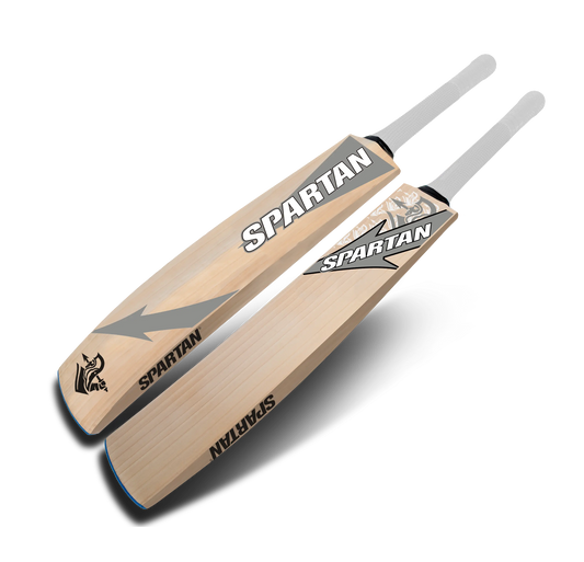 English willow cricket bat with balanced pickup