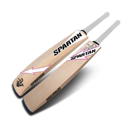 High quality English willow bat for competitive cricket