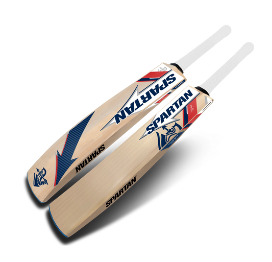 Professional English willow bat for aggressive stroke play